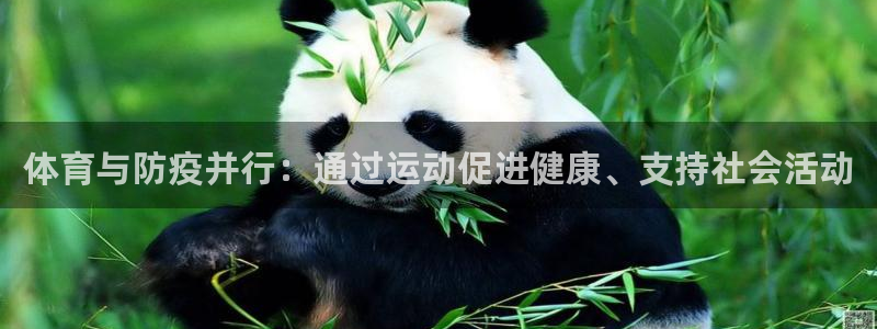 球客岛