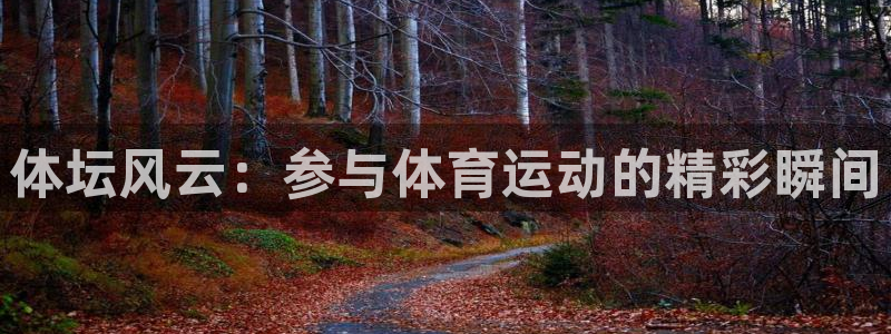 球客岛