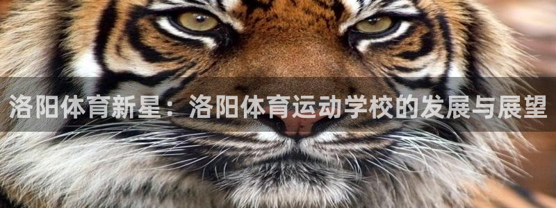 球客岛