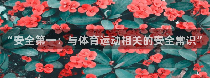 球客岛