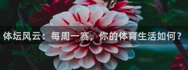 球客岛