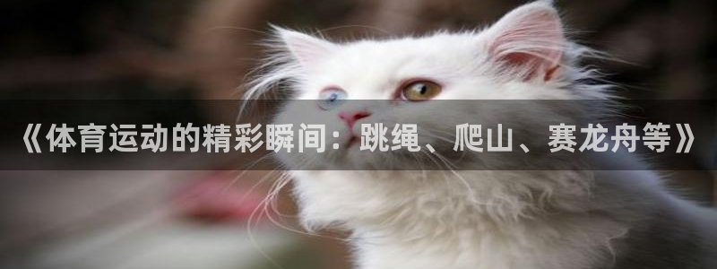球客岛：《体育运动的精彩瞬间：跳绳、爬山、赛龙舟等》