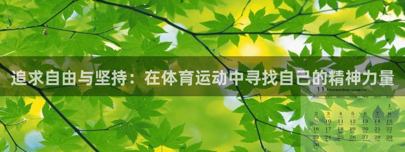 球客岛：追求自由与坚持：在体育运动中寻找自己的精神力量