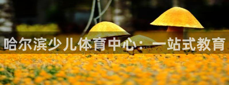 球客岛
