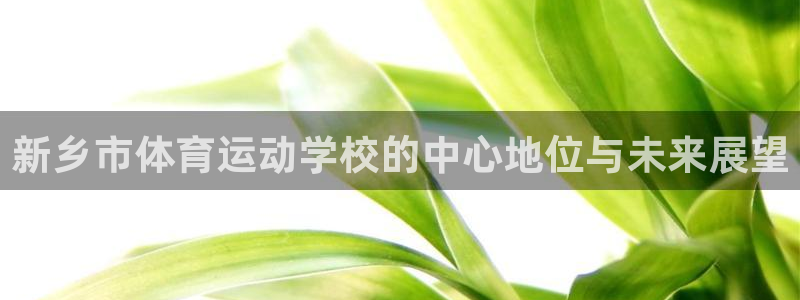 球客岛：新乡市体育运动学校的中心地位与未来展望
