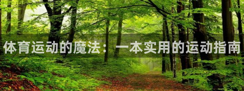 球客岛：体育运动的魔法：一本实用的运动指南