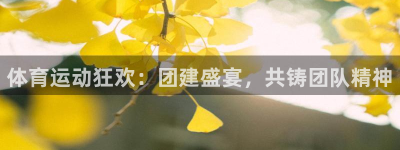 球客岛：体育运动狂欢：团建盛宴，共铸团队精神