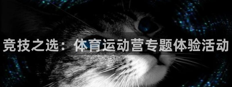 球客岛