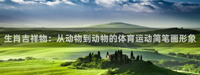 球客岛：生肖吉祥物：从动物到动物的体育运动简笔画形象