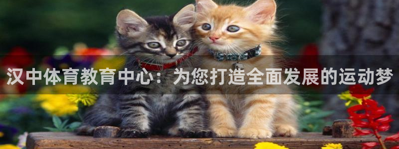 球客岛：汉中体育教育中心：为您打造全面发展的运动梦